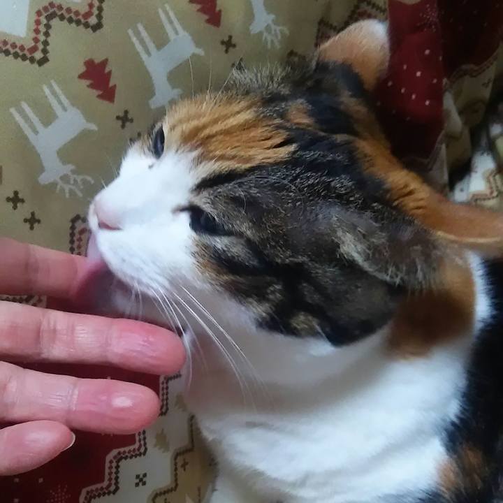 74344d2b 86a3 4815 bf73 975ce6913d7c