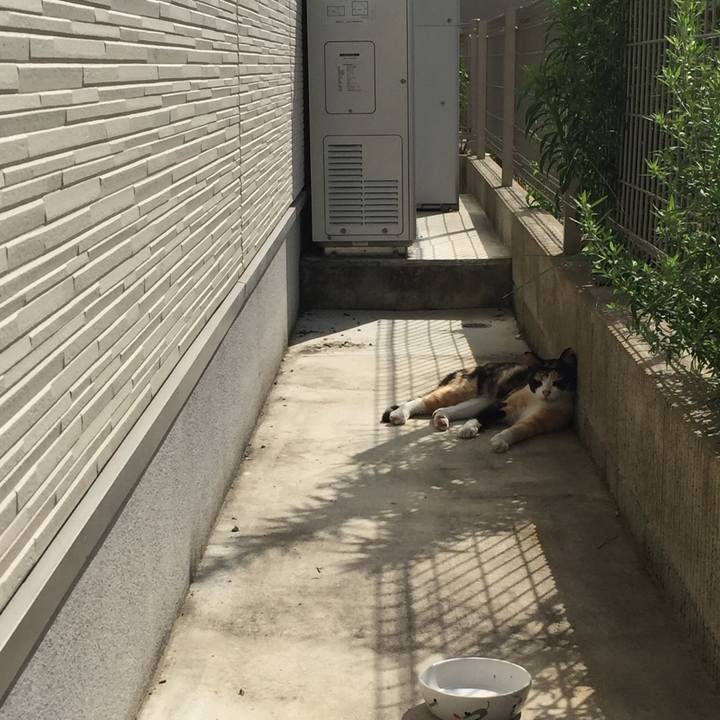 74345325 97ae 4d72 9332 7ba09fa118e8