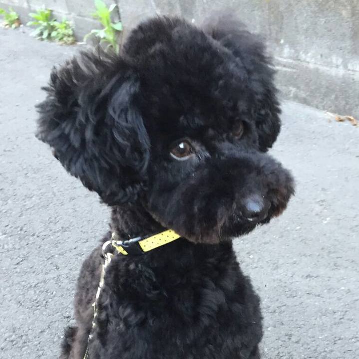 7434ac0f 09d0 46ff 8088 4346c373a3c2