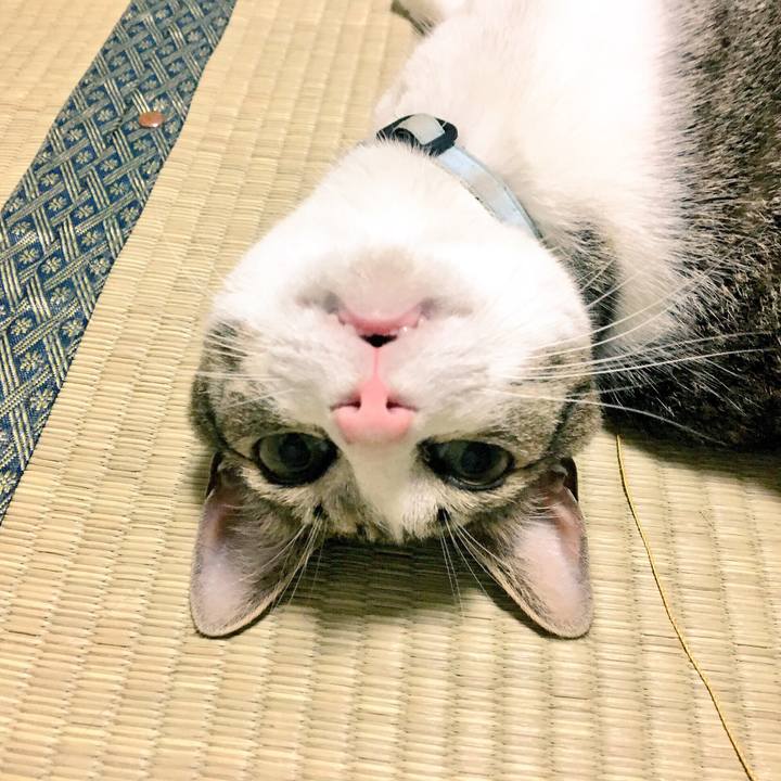 7434ece6 f1c1 459f 910f e6fb949feb2a