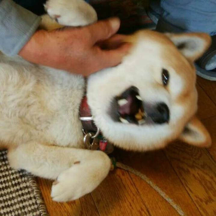 7434ed63 1fcf 44f2 b5d9 f5c0cc2d8c0f