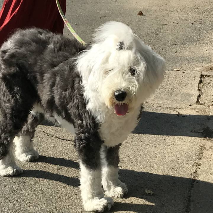 7435b7ae 458b 4836 9c69 75ffa96ae2c0