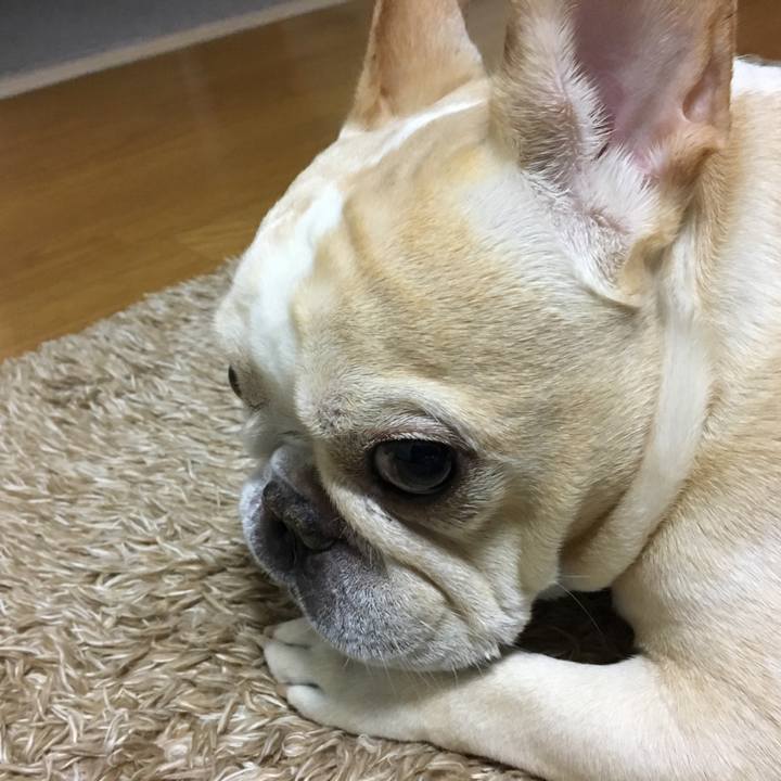 7435f4e2 fda8 498b 90e6 cdf38cf3515c