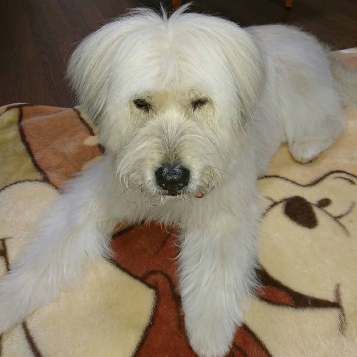 74367cd1 014d 4c91 a269 1034a886dcda