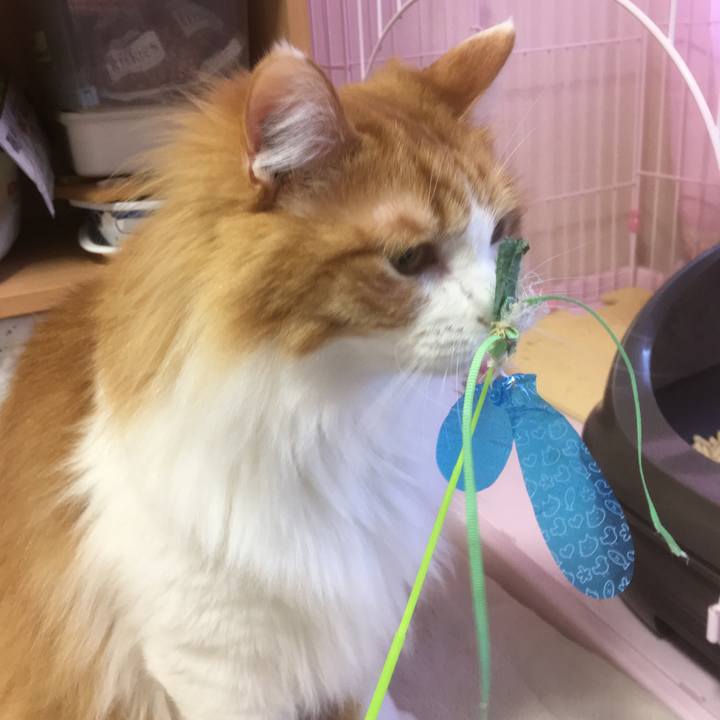 7436cbf1 6040 4a91 b5e5 3fb795c26f42