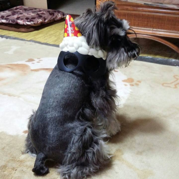 7436e982 83d5 48c1 9aa0 391b62cd7617