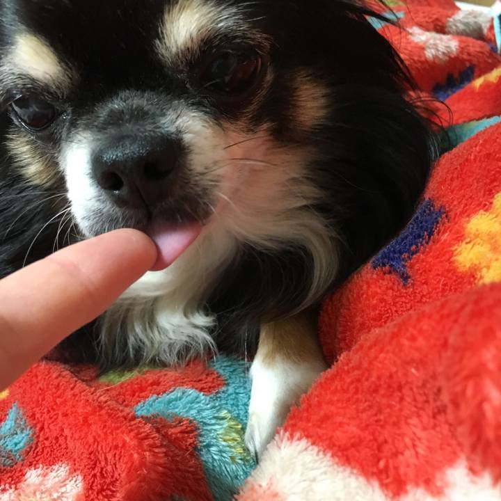 7437094c cdb6 4e91 b9e8 1bcb2c5f6921