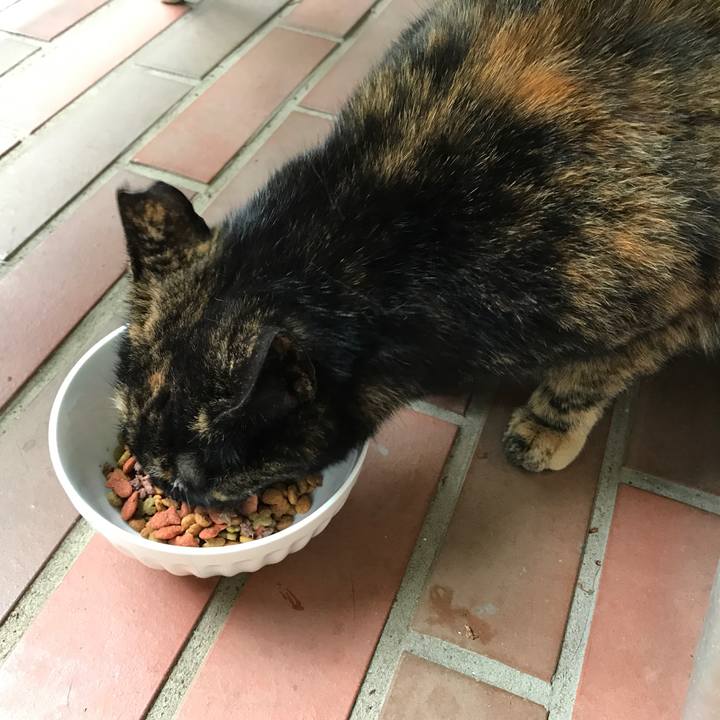 74370ad8 b7be 474a 9ae7 e03eb87b63f0