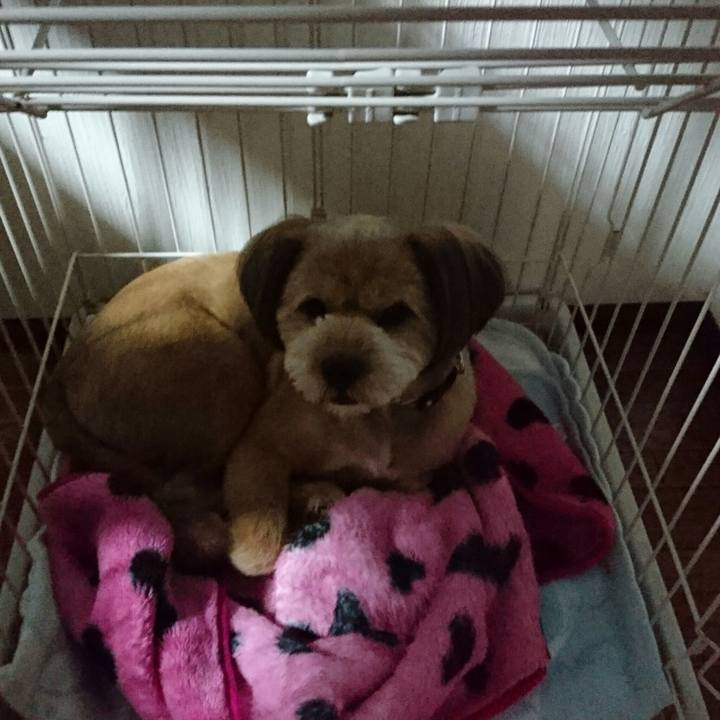 74372e30 3b44 4bb3 bf5c a45cc45bb81e