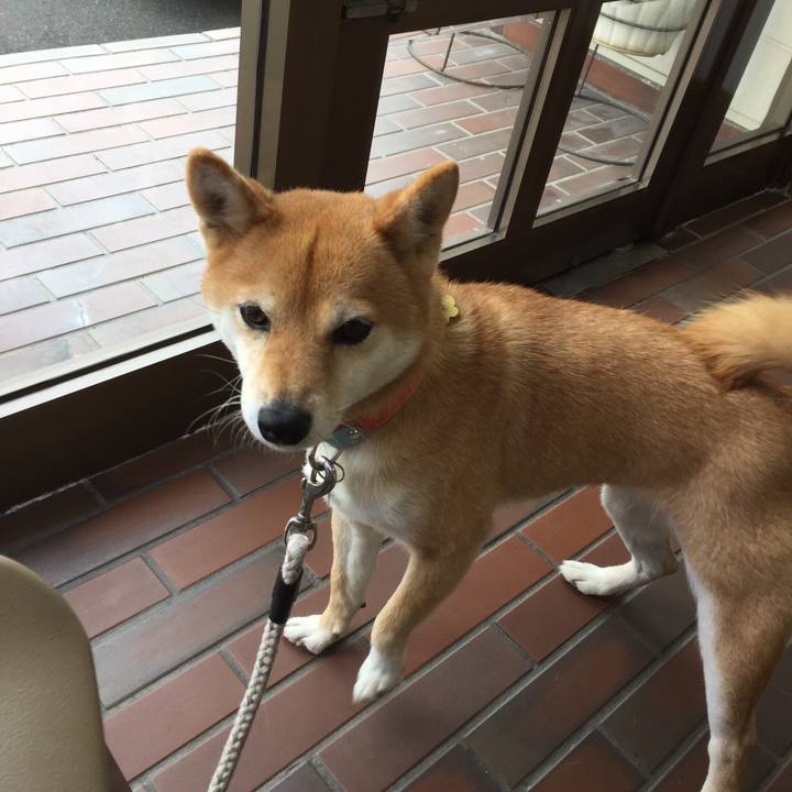 743734ba 01c9 4fd0 ac6a c7fd050b28c9