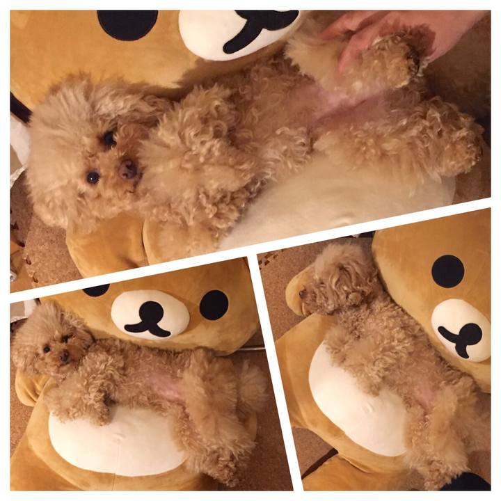 74375bed 6ef2 4df4 b24b d3f65addf033