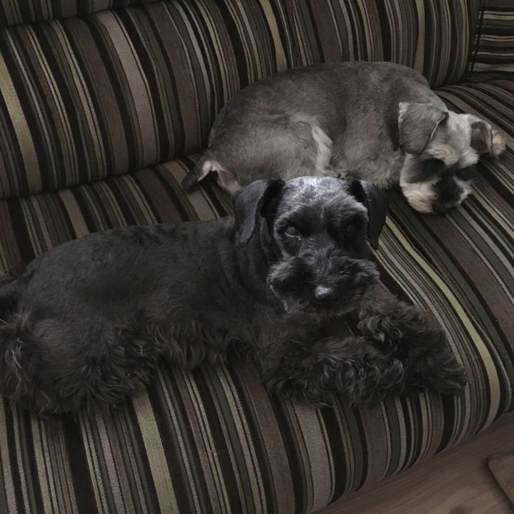 743823fa c0c3 4dfb b088 33bca67fc039