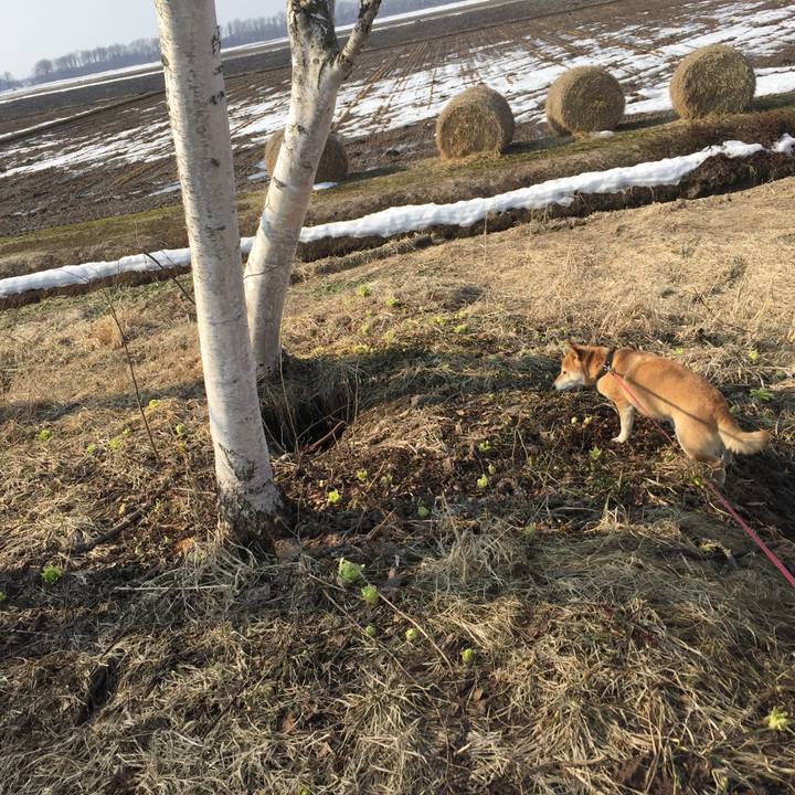 74387c13 2a4c 4942 b8ee 2a44c702f8c9