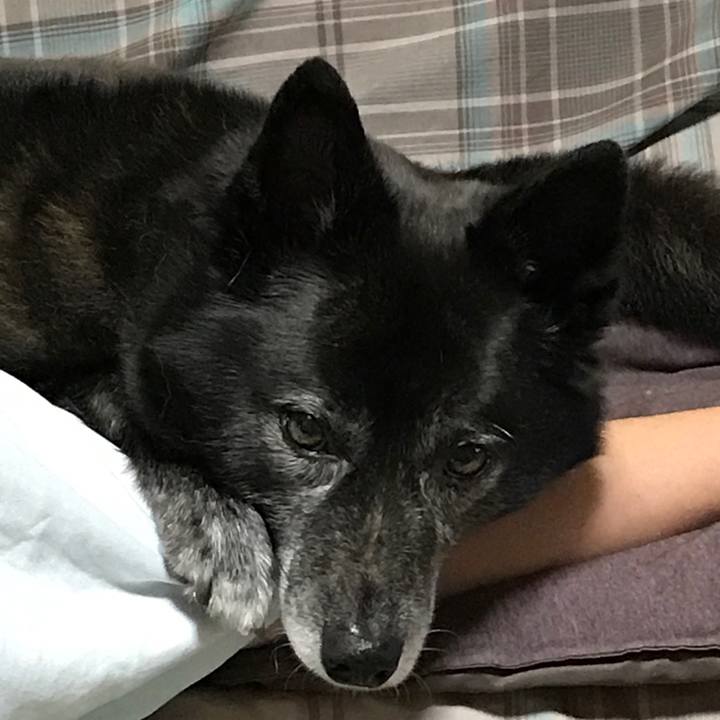 7438ab27 6e92 424e 9eb6 2a2d7b3c6c11