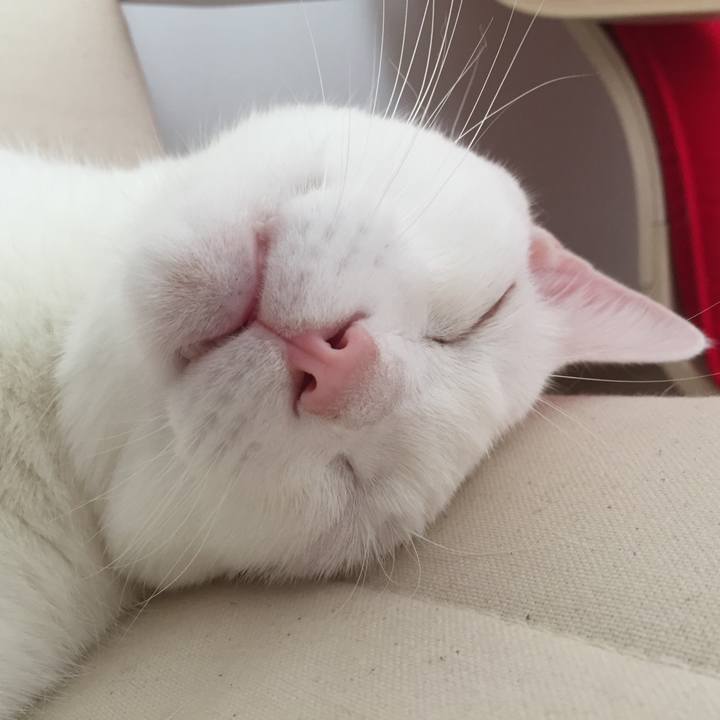 7438b680 4370 40e8 8d3d 9f30f45c3e75