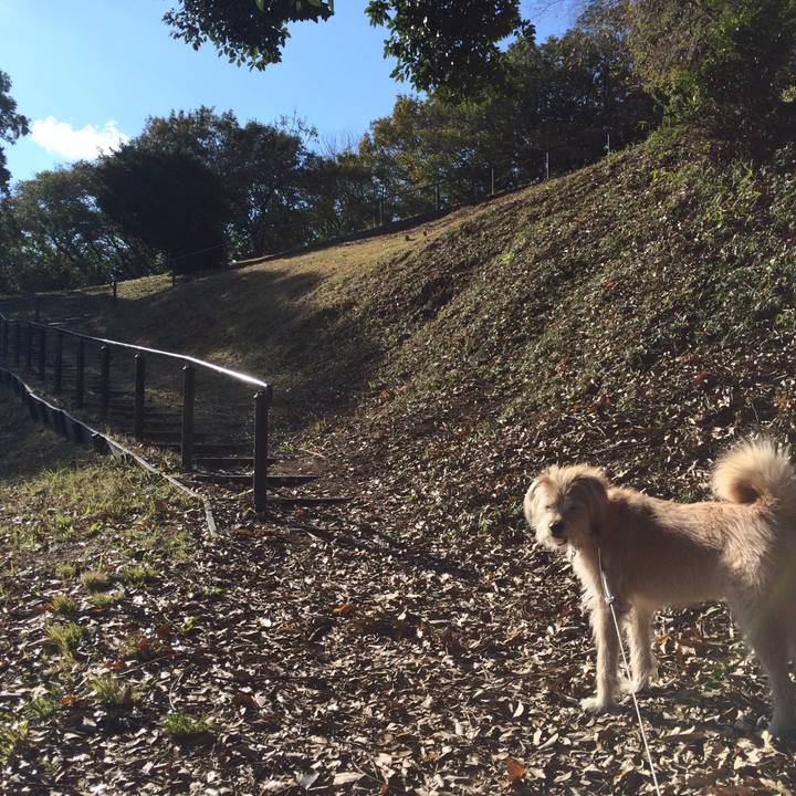 7438cb29 0a10 48a6 a013 3a6472252a39