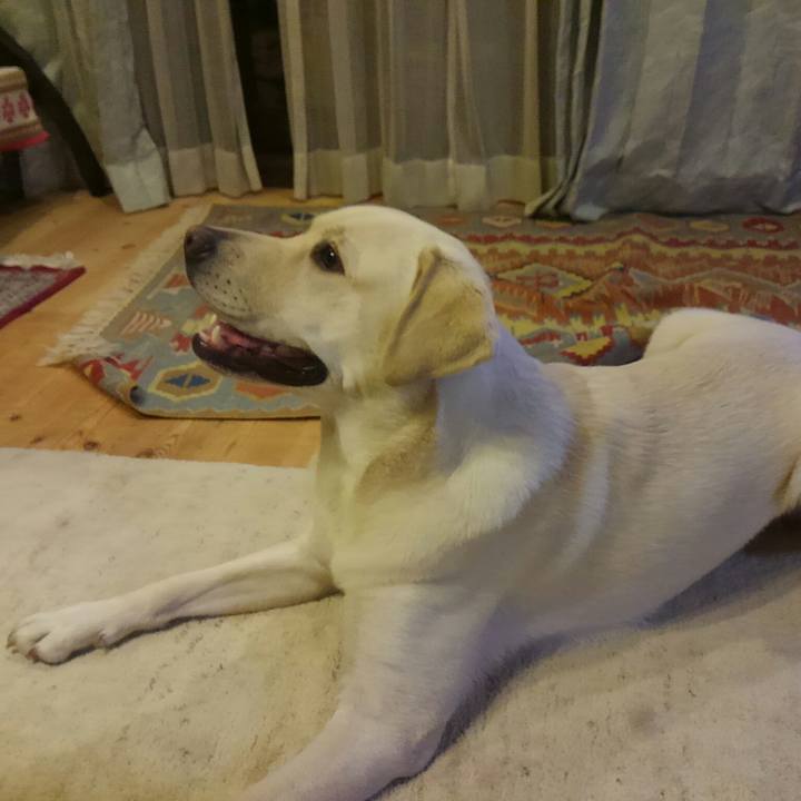 743904c5 0540 4943 b1b3 d695b95425f7