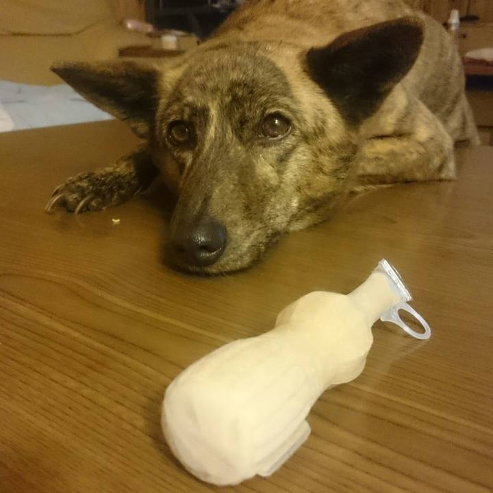 74394a3b af89 4923 82af 9408aa3abb73