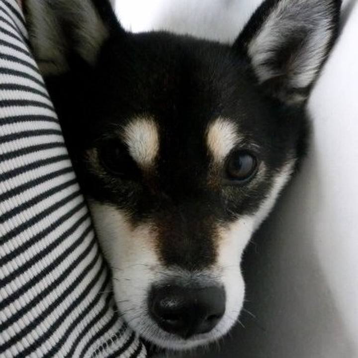 74397959 dc4d 4ce1 b3b2 b370d4e5d672