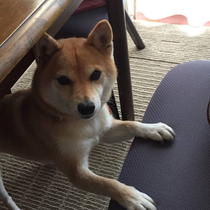 743a1e82 7fd3 44c8 95c4 d47009d309f3