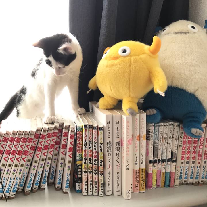 743a3359 3fdc 43ca 97bd dca6ca4a1a1b