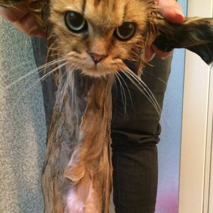 743adbc0 448e 4418 8be5 1caeb7276ea9