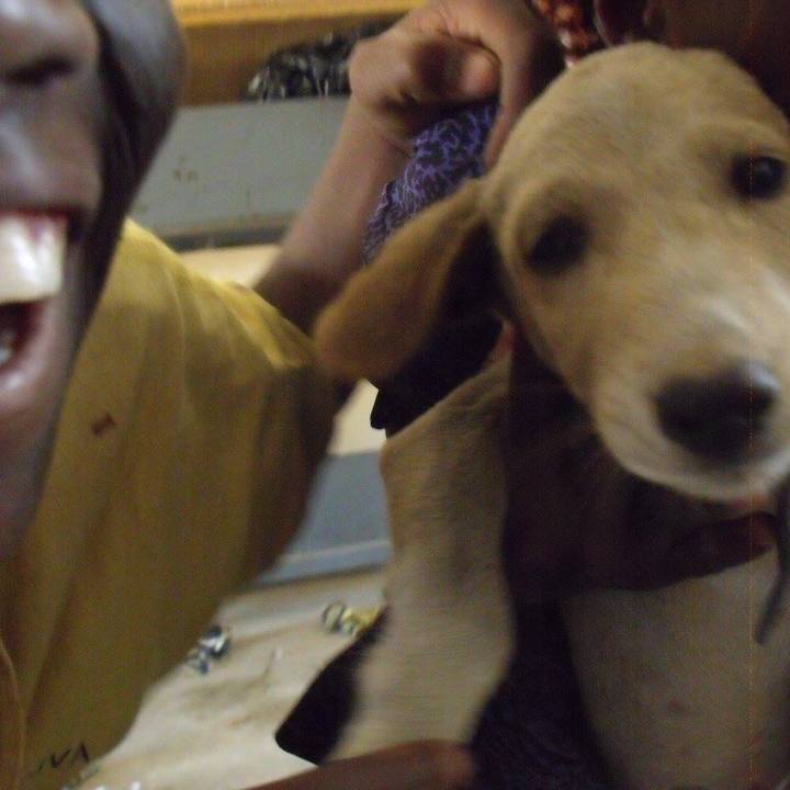 743baa15 7dfd 440a a568 39ba71686e22