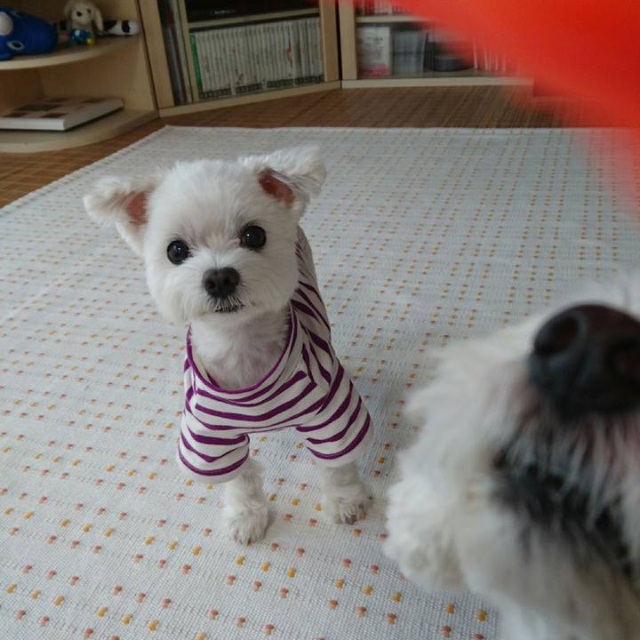 743bbdc5 1446 49a8 814f b514116f54c9