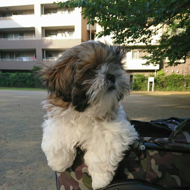 743c5dc2 de09 4cc4 b490 64b1e03df0ef