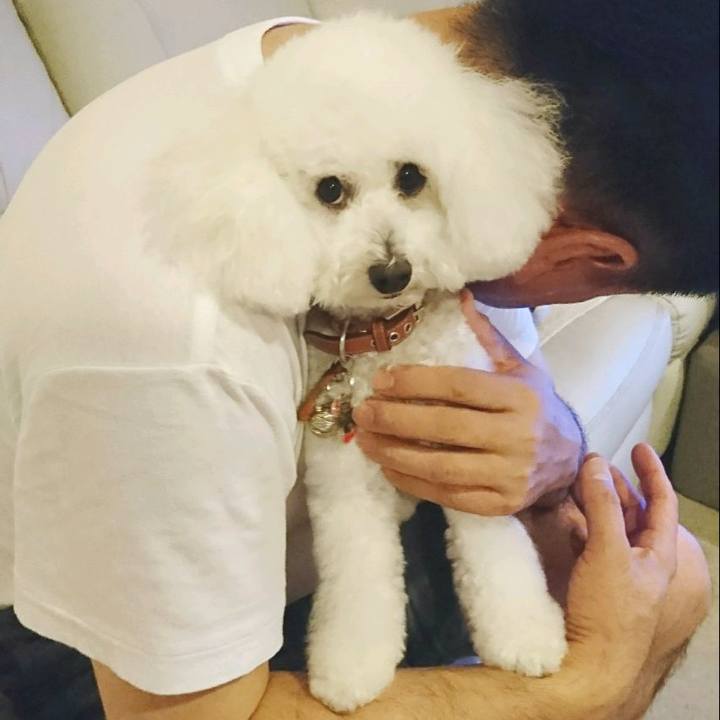 743ca0dd cfde 4721 a80d a86a3e30059b