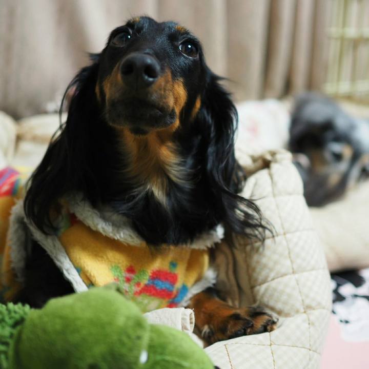 743cdeee 36b9 4a98 8102 f4887c45fd67