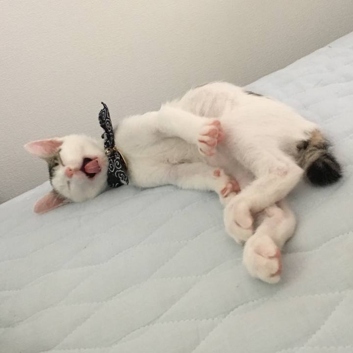 743e6693 91d1 437b aaa6 c5383e89ee38