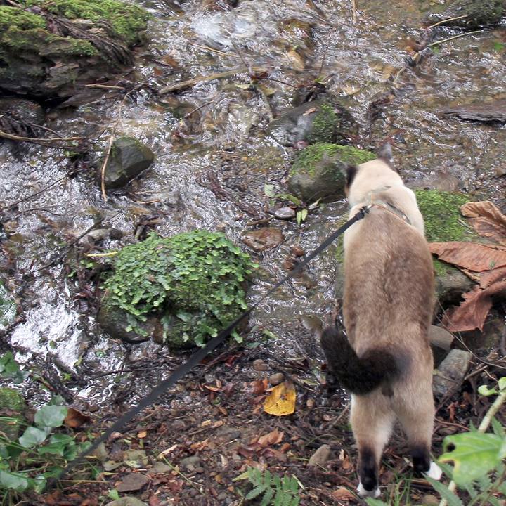 743e8362 8195 4665 9041 aac9ed1fdca8