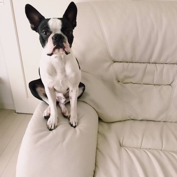 743ea086 b0d3 4915 88bd bacdffc876af