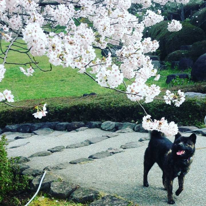 743ec812 d7d6 4489 b920 8463b752a1b2