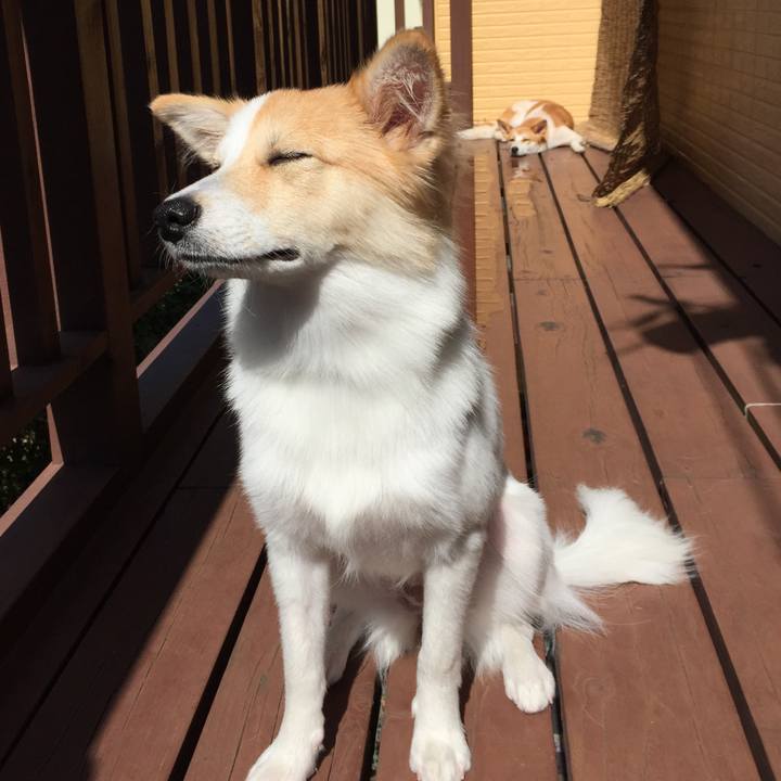 743edebf 7404 4717 918e 0697acfa6821