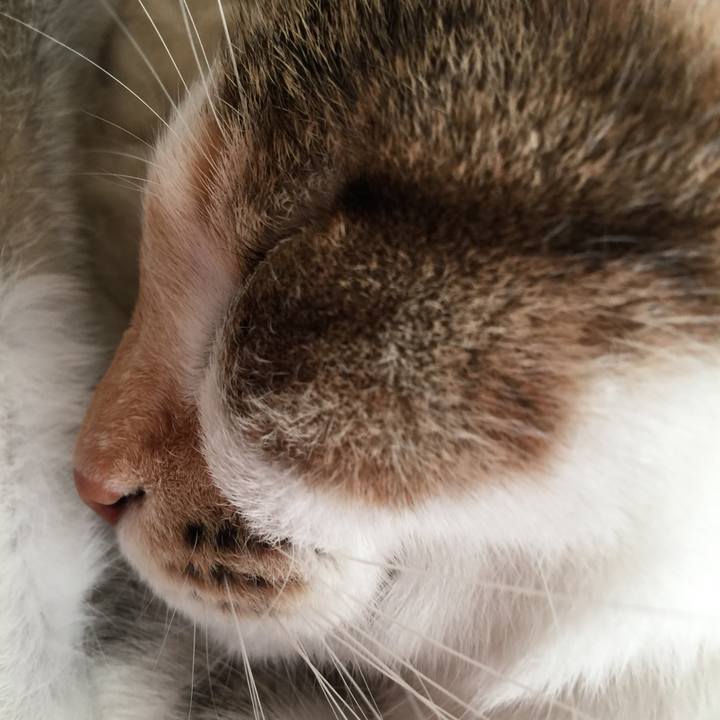 743f415e d7a5 4c3b a87d 34b0871ac6e6