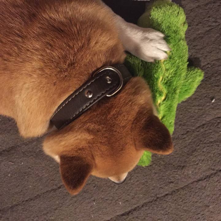 743f8afb 2013 4f92 b53b 77cee32cc229