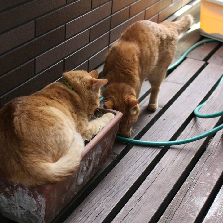 743ff02b 4b11 49d0 abb5 d475f9aae8c4