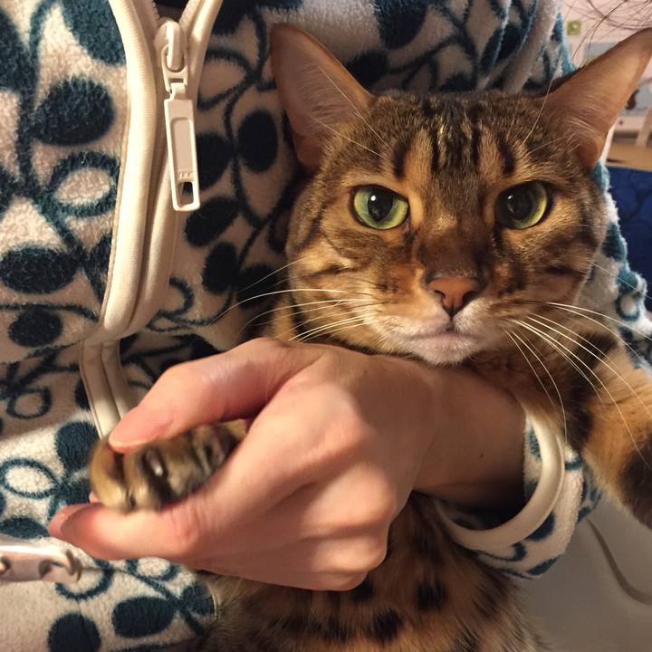 7440b7b0 96d1 4490 a34a 0ede2cc5c879