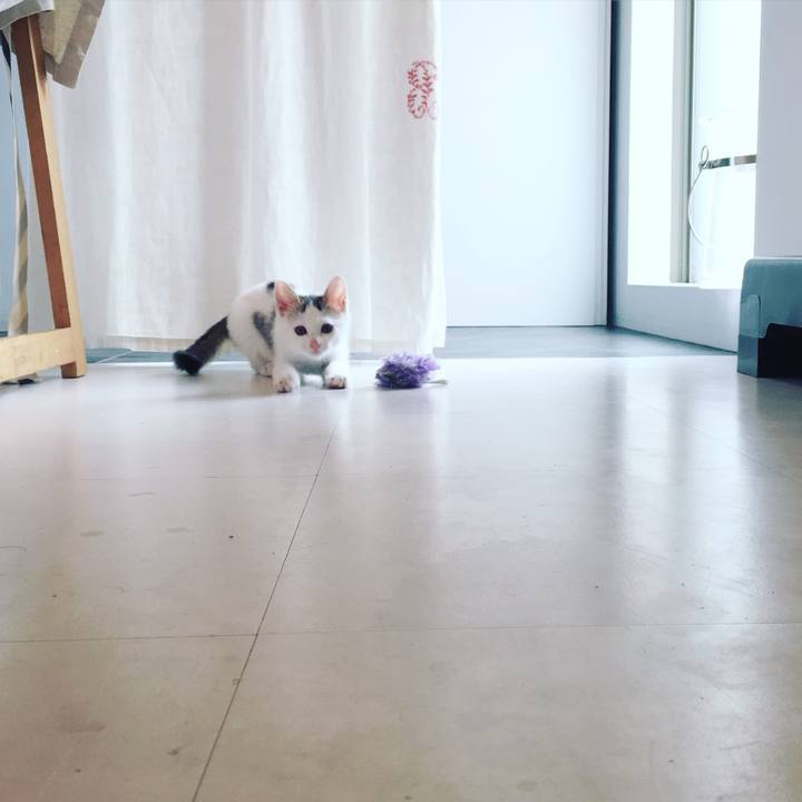 7440bb4b 5659 491f b4e1 ab324a00ac61