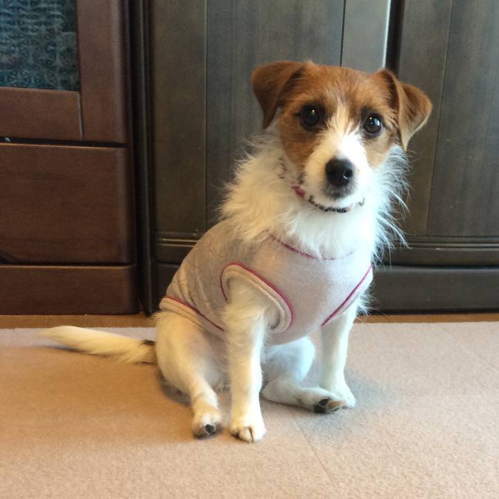 7441b6a6 0a0e 497c a17b 8152b349684b