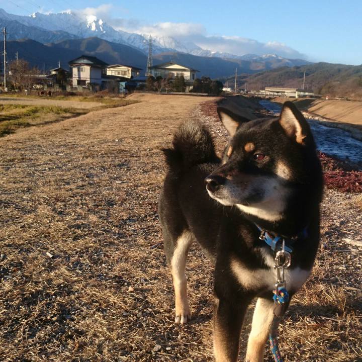 7442184b 75bb 4e19 883d d07a667a9e25