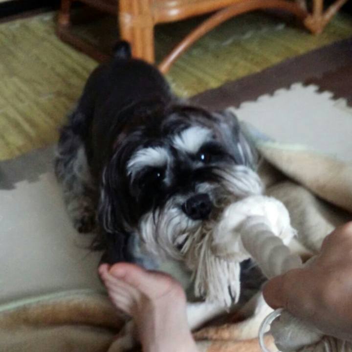 7442efb7 396f 443c b233 0112f5afff49