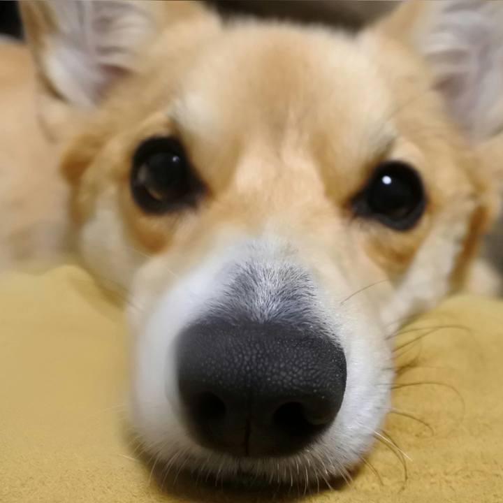 74438da9 84d3 4205 a7db 2884e05ffe2a