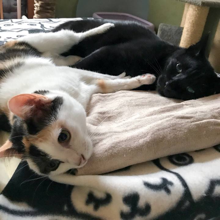 7443f054 1346 4c6e 9c0a 22dde11101a3