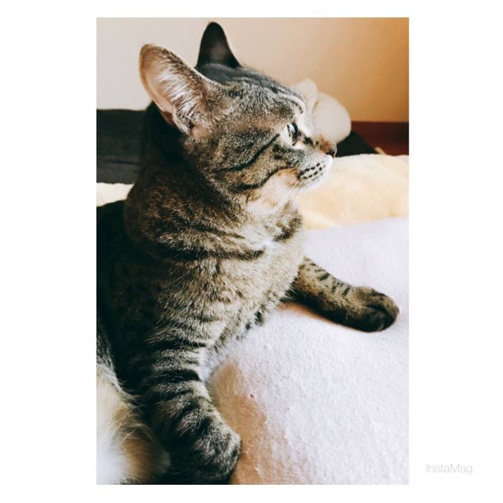 74448d8a 1d54 4a52 adac 205b951bb13b