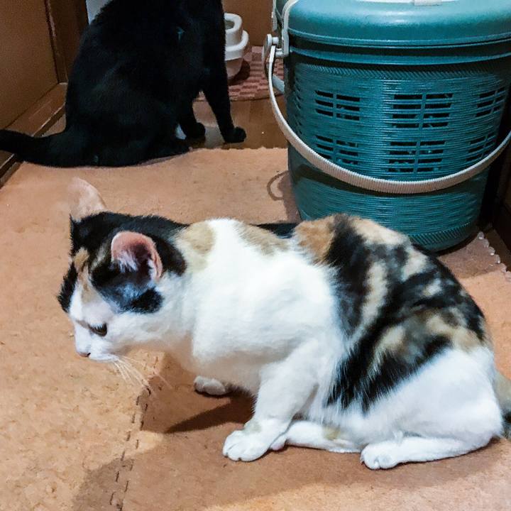 7444a817 ce49 4262 aaab 1f09f7b13774