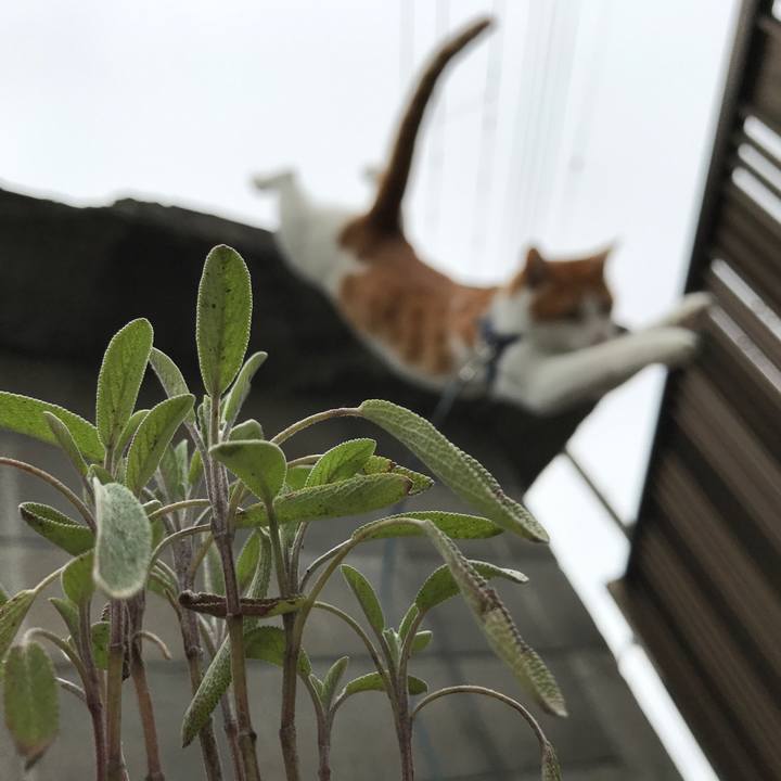 7445209e dacd 46d8 ab6e 8cd22b20320c