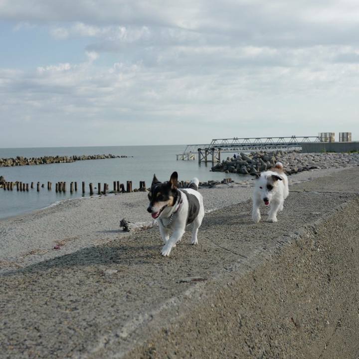 7445992a e2b2 4698 a254 3a2092f1e9e3